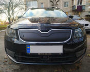 Skoda Octavia III A7 2013–2019 Winterafdekking voor grille (2013-2017) Hoogglans foto 1