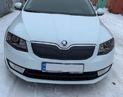 Skoda Octavia III A7 2013–2019 Winterafdekking voor grille (2013-2017) Hoogglans foto 2