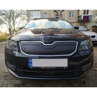 Winterafdekking voor grille (2013-2017) foto 1