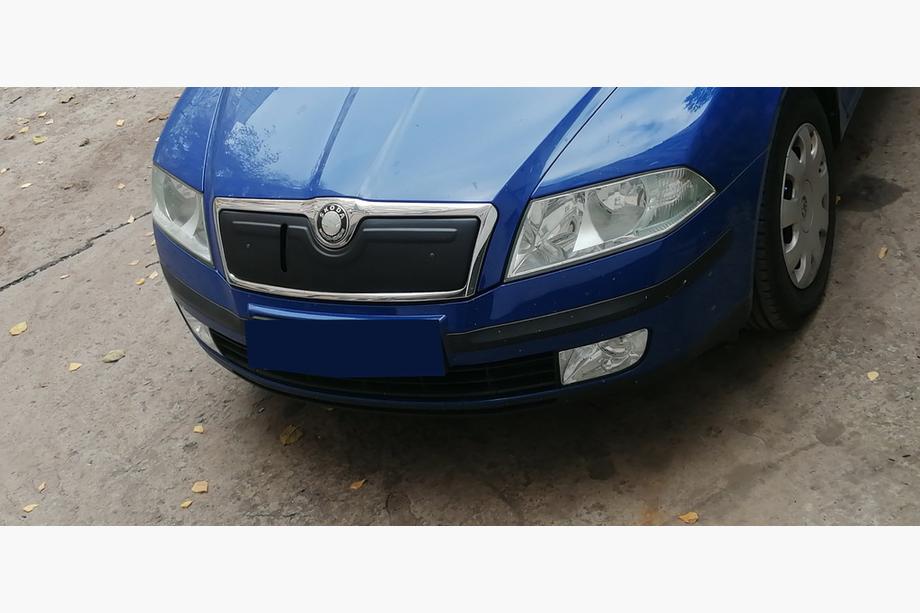 Skoda Octavia II A5 2006–2010 Winterafdekking voor grille (bovenste) Mat Foto 3