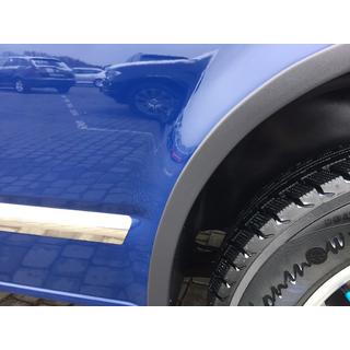 Deurstrips (RVS, chroom) Volkswagen T5 Transporter 2003–2010 foto 3