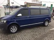 Volkswagen T5 Multivan 2003–2010 Deurstrips (RVS, chroom) foto 3