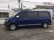 Volkswagen T5 Multivan 2003–2010 Deurstrips (RVS, chroom) foto 4