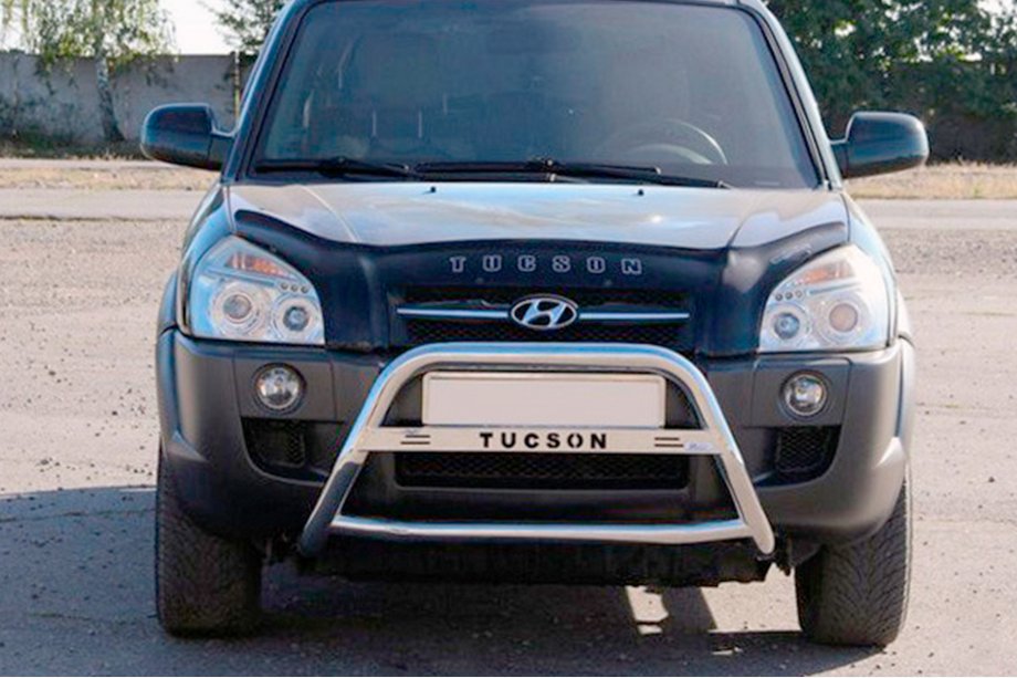 Hyundai Tucson JM 2004– Bullbar WT025 (RVS) Image