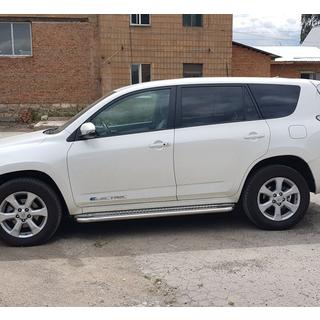 Premium side steps (2 st., RVS) foto 4