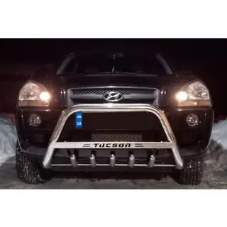 Bullbar WT004 (RVS) foto 3