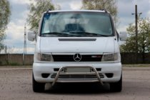Mercedes Vito W638 1996–2003 Bullbar WT022 (RVS) foto 1