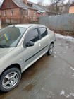 Peugeot 206 1998–2024 RVS deurgreepkappen foto 3