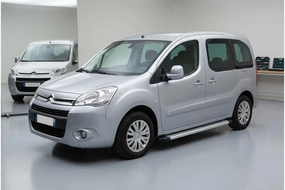 Citroen Berlingo 2008–2018 Zijtreden Maya V2 (set van 2, aluminium) Image