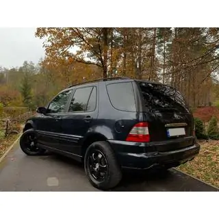 RVS sierstrip boven het kenteken foto 3