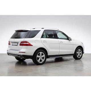 Duru zijtreden (set van 2, aluminium) Mercedes GLE/ML-klasse W166 2011–2018 foto 1