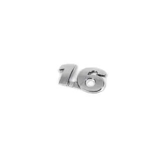 Typeaanduiding 1.6 (OEM-uitvoering) foto 2