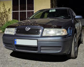 Skoda Octavia I Tour A4 1996–2010 Wintergrille (bovenste) Hoogglans foto 3