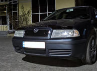 Skoda Octavia I Tour A4 1996–2010 Wintergrille (bovenste) Hoogglans foto 4