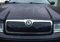 Skoda Octavia I Tour A4 1996–2010 Wintergrille (bovenste) Hoogglans foto 1