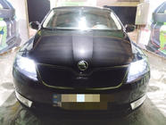 Skoda Rapid 2012–2019 Wintergrille (bovenste) Mat foto 1