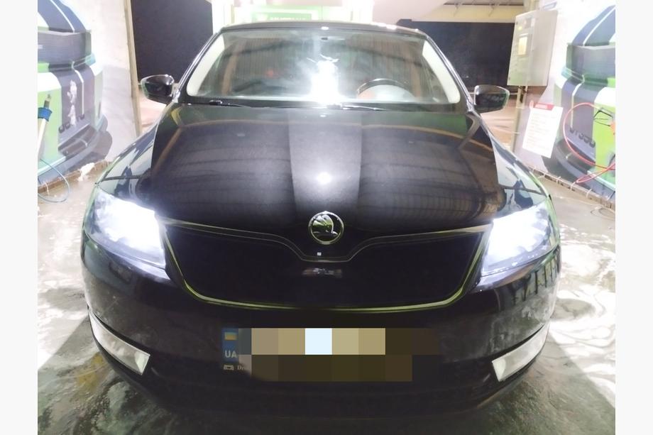 Skoda Rapid 2012–2019 Wintergrille (bovenste) Mat Image