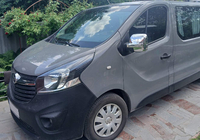 Opel Vivaro 2015–2019 Spiegelkappen (2 st., kunststof) foto 9