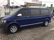 Volkswagen T6 2015–2024 Deurstrips (RVS, chroom) foto 3