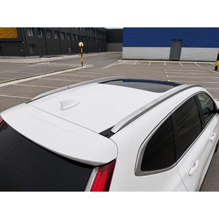 Geïntegreerde dakrails grijs OEM (aluminium, boutmontage) foto 3