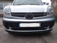 Renault Kangoo 1998–2008 Bovenste winterrooster (2003-2008) Glanz foto 2