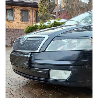 Winterafdekking radiateurgrille (onderste) Skoda Octavia II A5 2006–2010 foto 2