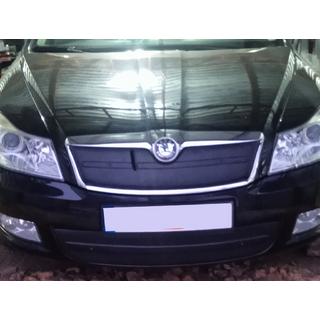 Winterafdekking voor grille (bovenste) Skoda Octavia II A5 2010–2013 foto 3
