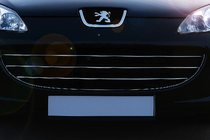 Peugeot 407 2004–2011 Sierlijsten voor grille (3 stuks, RVS) foto 1