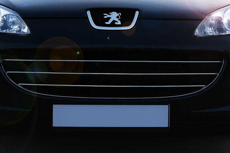 Peugeot 407 2004–2011 Sierlijsten voor grille (3 stuks, RVS) Image