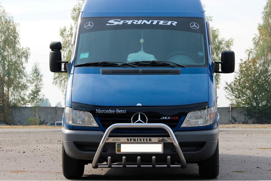 Mercedes Sprinter W901/902/903/904/905 1995–2006 Bullbar WT004 (RVS) Image