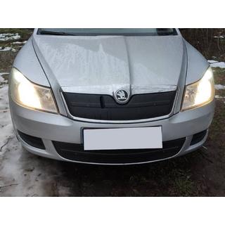 Winterafdekking radiateurgrille (onderste) Skoda Octavia II A5 2010–2013 foto 2