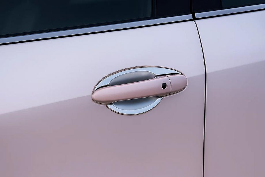 Mazda 6 2008–2012 Deurgreepkommen met bloemblaadjes (4 st., kunststof) Image