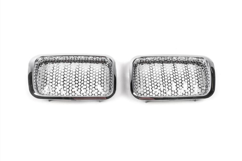 BMW 3 Serie E36 1990–2000 Niergrilles Image