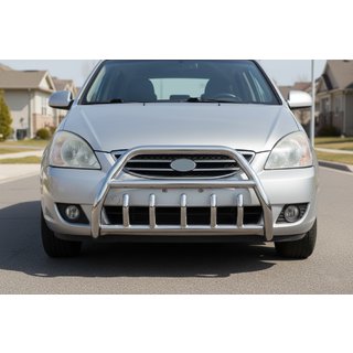 Bullbar WT003 (RVS) foto 1