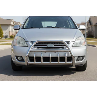 Bullbar WT003 (RVS)