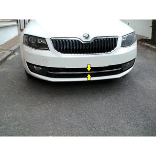 RVS beschermstrip voorbumper 13-17 foto 1