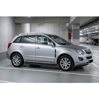 Tayga Black zijtreden (set van 2, aluminium) foto 1
