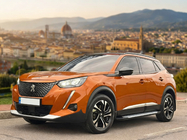 Peugeot 3008 2016–2023 Zijsteps Allmond Grey (2 stuks, aluminium) foto 1