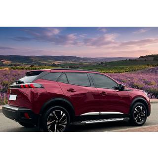 Side steps Line (2 stuks, aluminium) Peugeot 3008 2016–2023 foto 1