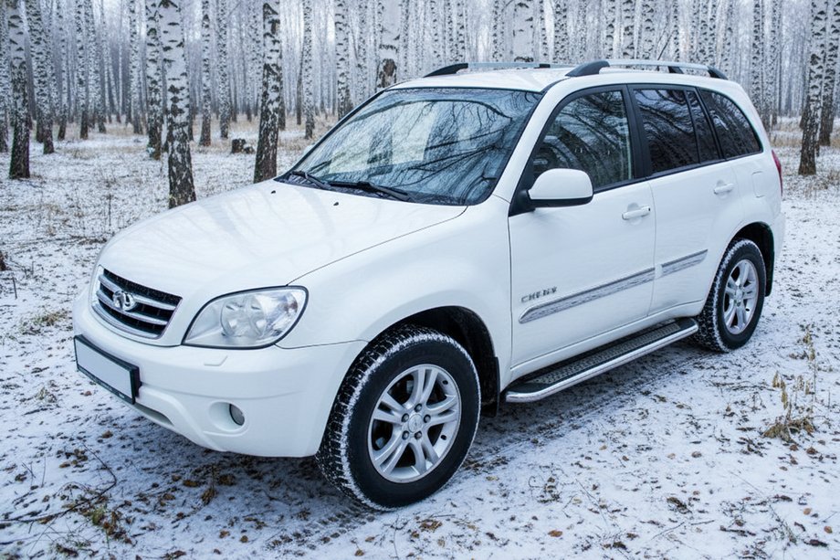 Chery Tiggo 1 2005–2016 Zijtreden Maydos V2 (2 st., aluminium/RVS) Image