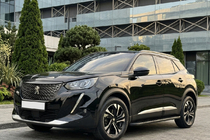 Peugeot 3008 2016–2023 Side steps Bosphore Black (set van 2, aluminium) foto 1