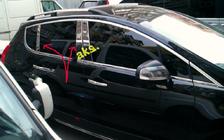 Peugeot 3008 2008–2016 RVS stijlbekleding foto 4