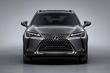 Compacte Lexus UX 200-crossover foto 8