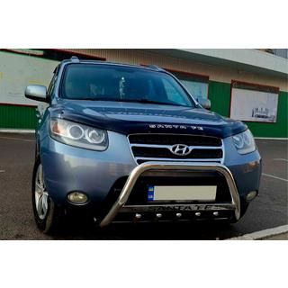 Bullbar WT004 (RVS)