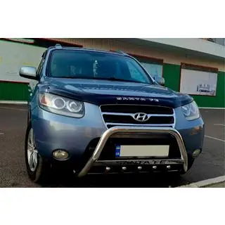 Bullbar WT004 (RVS) foto 1