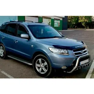 Bullbar WT004 (RVS) foto 2