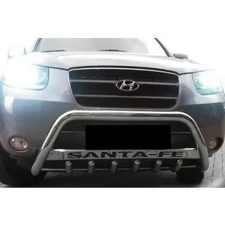 Bullbar WT004 (RVS) foto 3