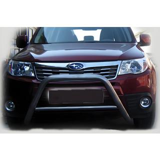 Bullbar WT005 (RVS)