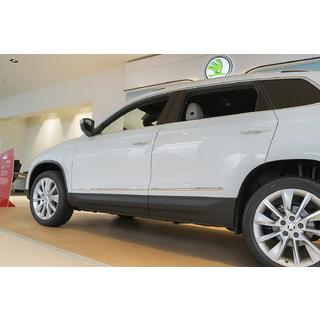 Deurstrips (RVS) Skoda Karoq 2018– foto 1