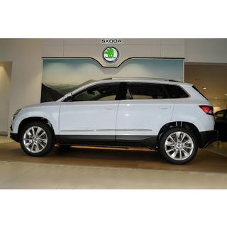 Deurstrips (RVS) Skoda Karoq 2018– foto 3